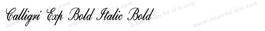 Calligri Exp Bold Italic Bold Itali字体转换